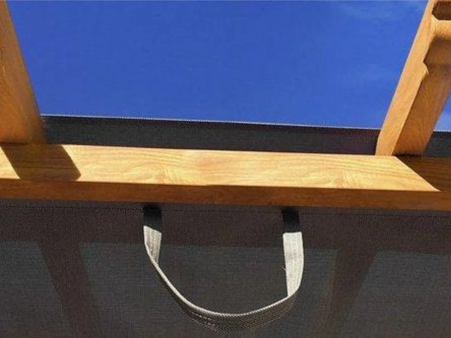 Paragon Outdoor Florence Aluminum Pergola Convertible Canopy Size: 11 x 11